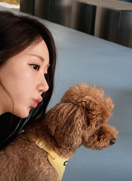 강아지와 일상